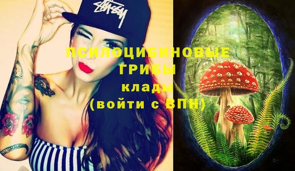 ешки Алапаевск