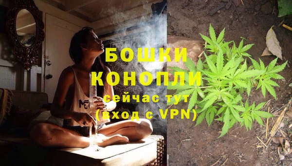 apvp Аркадак