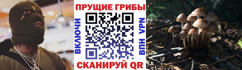 Галлюциногенные грибы мицелий  Выкса 